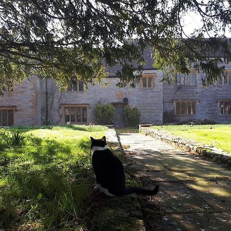 The Manor House, Curry Mallet 汤顿 外观 照片