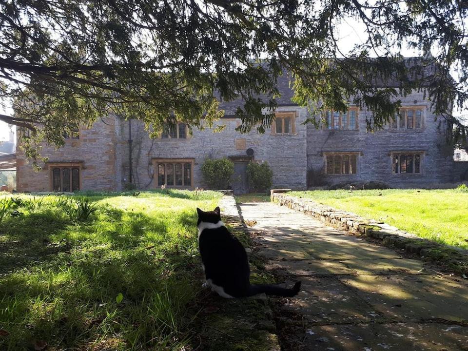 The Manor House, Curry Mallet 汤顿 外观 照片